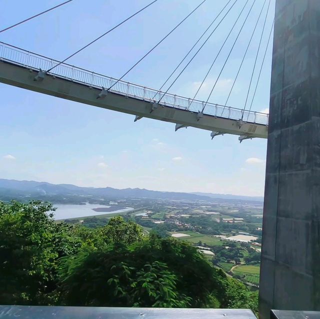 岡山之眼登高遠眺水庫美景
