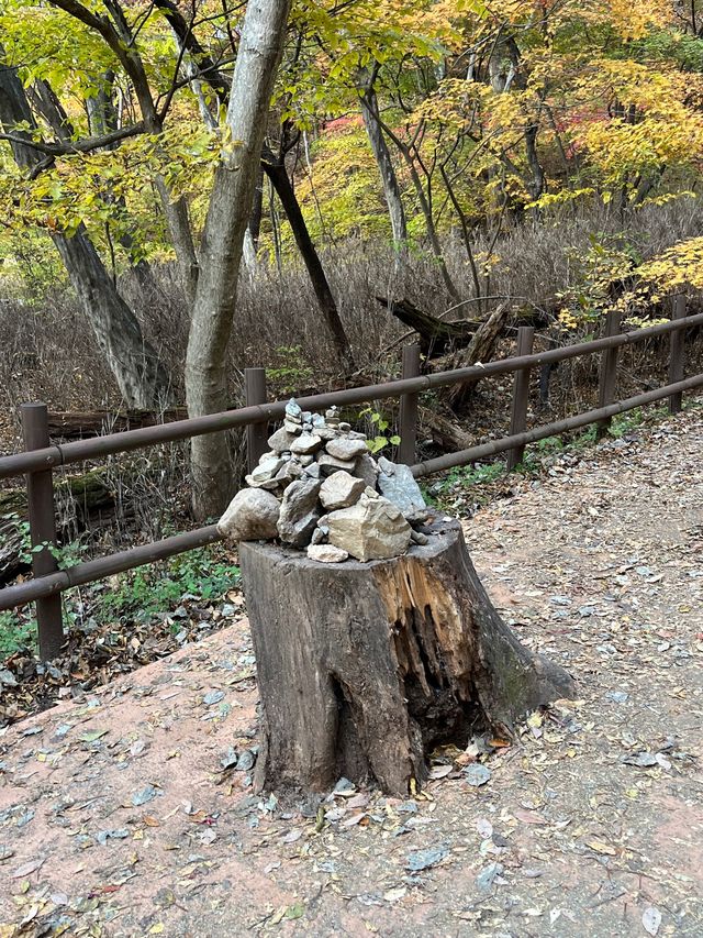 가을단풍은 해인사로~