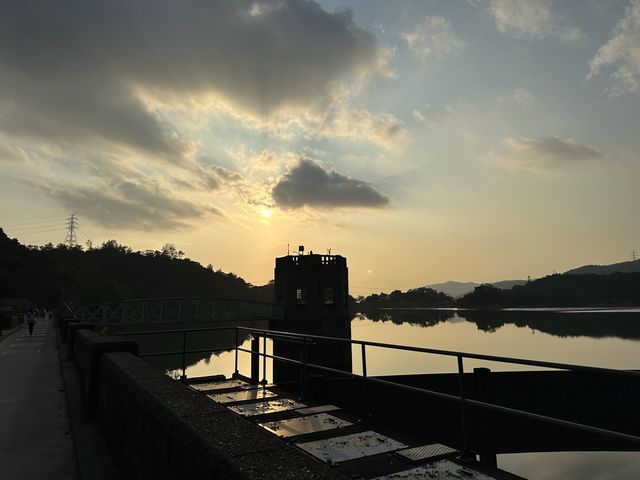 迷人的水塘與白千層，踏上城門水塘之旅
