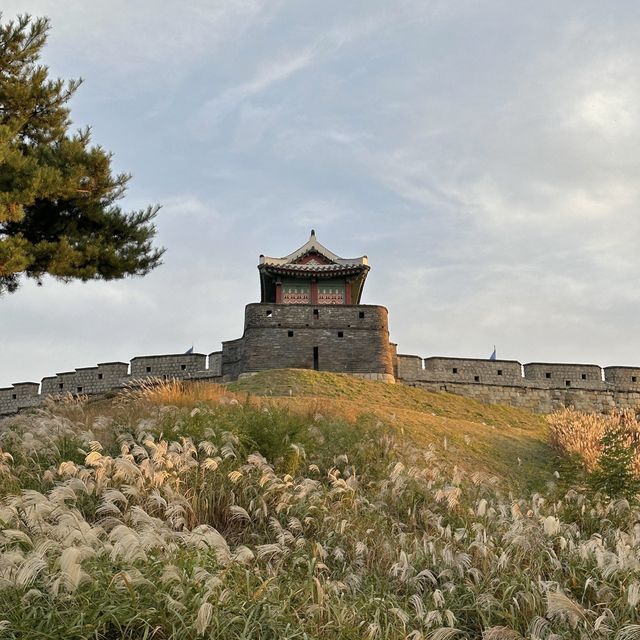 가을풍경과 억새 그리고 노을조합이 예쁜 수원