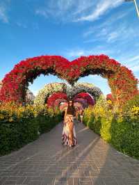 A Flowering Oasis in the Desert