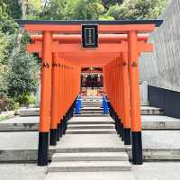 《兵庫 神戸》　日本最古級の神社⛩️