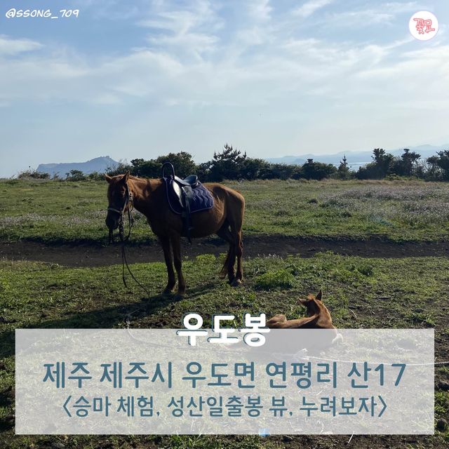 여행카드뉴스로 보는 뚜벅이 제주도 2박 3일 코스