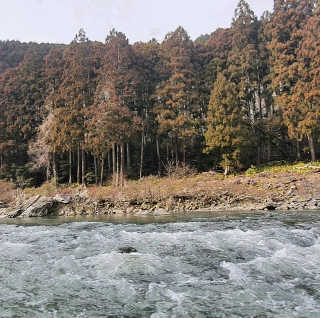 嵐山最在地的體驗【保津川遊船】