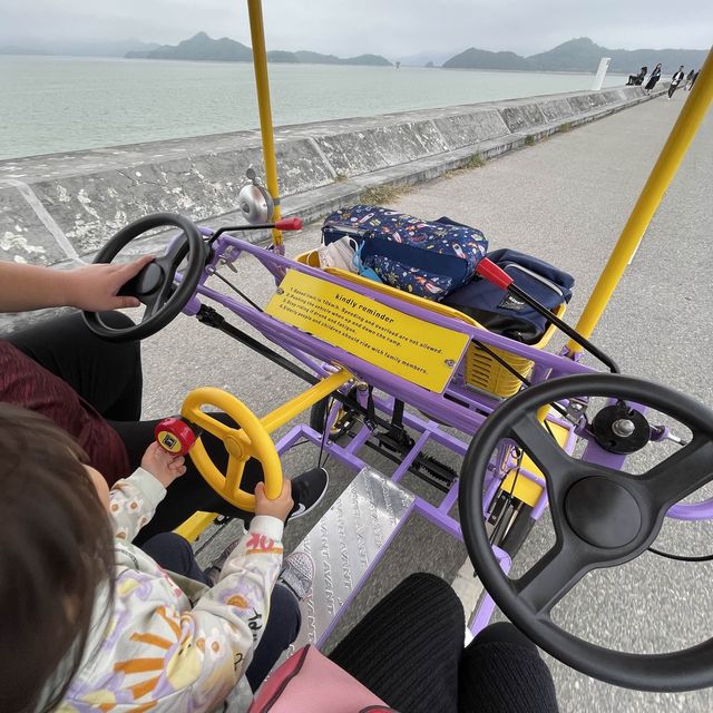 玩足一日!踏鴨仔船🐤親子單車~BBQ~沙灘~ 玩足一日!踏鴨仔船🐤親子單車~BBQ~沙灘~