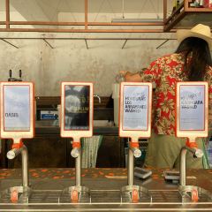 Single O Surry Hills User Photo