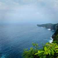 Bali's T-Rex Cliff Hike 🏝️🦖