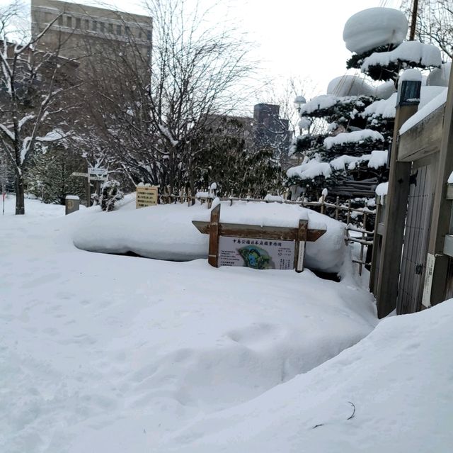 일본여행 홋카이도 나카지마공원