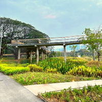 🏞️ปอดกลางกรุง