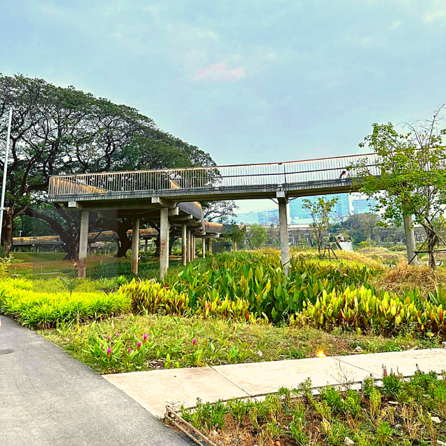 🏞️ปอดกลางกรุง