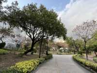 九龍城廣場旁邊嘅賈炳達道公園