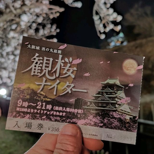 【大阪】大阪城西の丸庭園の桜🌸