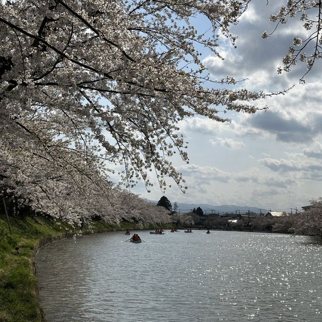 Hirosaki Castle!! 