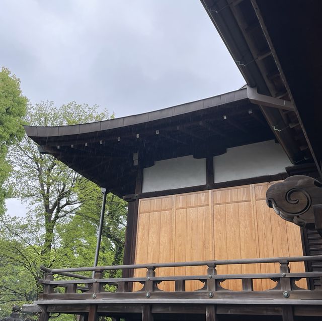 달의 소나무가 있는 청수관음당🌲