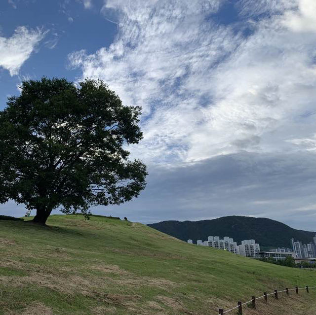금관 가야 시대의 무덤 양식을 볼 수 있는, 대성동 고분군