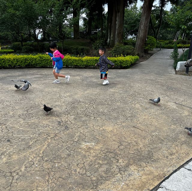 台中親子遊