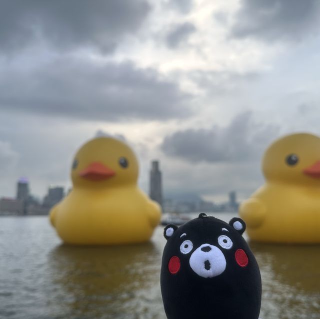 四遇鴨鴨Rubber Duck🤣
