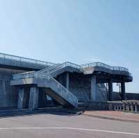 利尻島　沓形港フェリーターミナル