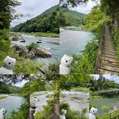 クマ散歩:御岳渓谷遊歩道に品行方正なクマ出没 | Trip.com 青梅 クマ散歩:御岳渓谷遊歩道に品行方正なクマ出没 | Trip.com 青梅