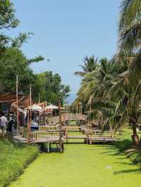 Relaxing at Coconut market at Chiang Mai