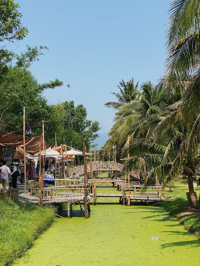 Relaxing at Coconut market at Chiang Mai