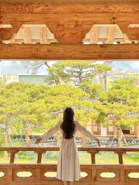 사람들이 모르는 전주 한옥 포토스팟!!!📸