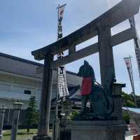 【愛知】狐は何匹いるでしょうか！🦊🦊 