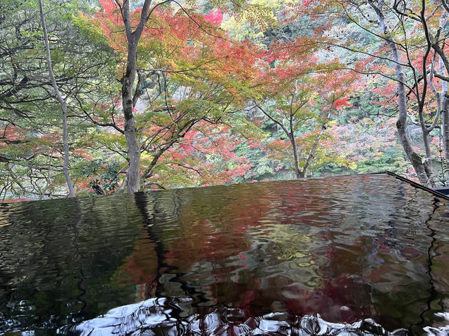 【京都 秋の嵐山】祐斎亭