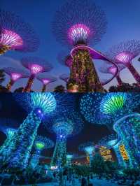 Water Lily Pond มุมถ่ายรูปลับๆ ในสิงคโปร์🇸🇬