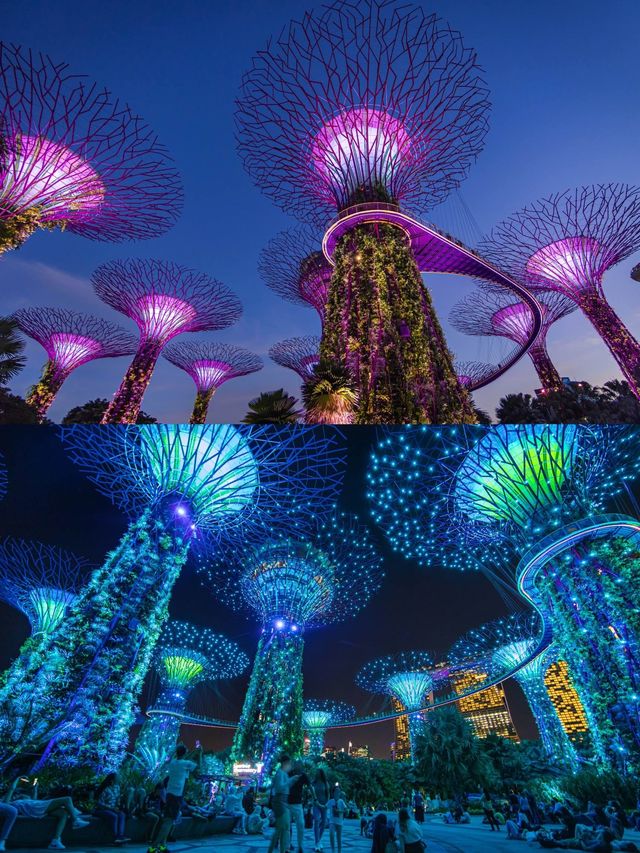 Water Lily Pond มุมถ่ายรูปลับๆ ในสิงคโปร์🇸🇬
