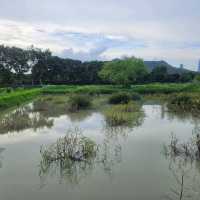 極具保育價值嘅塱原自然生態公園之生態區