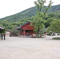 초록초록한 숲길, 산책하기 좋은 고창 선운사