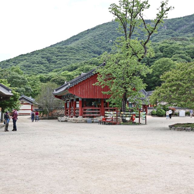 초록초록한 숲길, 산책하기 좋은 고창 선운사