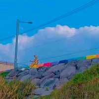 チェジュ島🏝虹🌈の道路