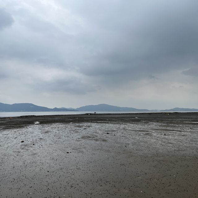 배타고 신시모도 당일치기 여행코스!