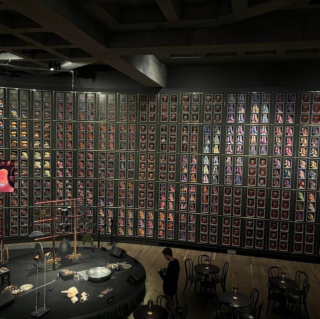 Mona-Museum Of Old and New Art