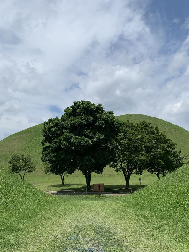 경주 | 이렇게 사진이 잘 나와도 되나요? ‘대릉원’ 🌳