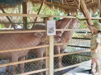 Lhor Liang Farm หล่อเลี้ยงฟาร์ม