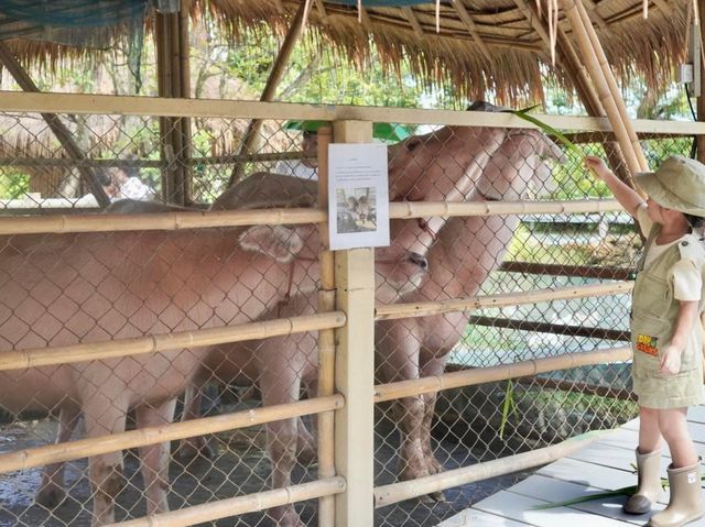 Lhor Liang Farm หล่อเลี้ยงฟาร์ม