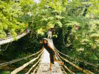 Hanging bridge + Cebu's man made forest