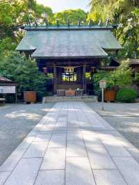 【小田原パワースポット】陽の光が心地良い報徳二宮神社