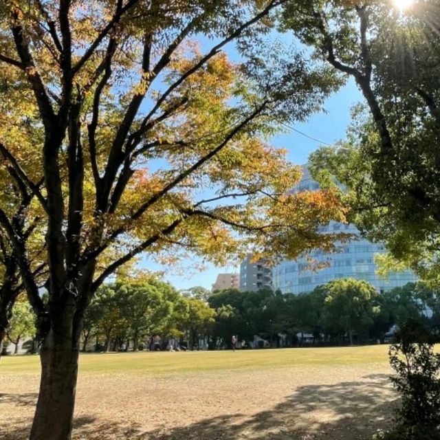 アクロス福岡