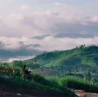 ThePi Khao Kho