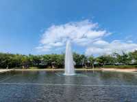 【轉廢為能．煥然一新~T．Park⛲】