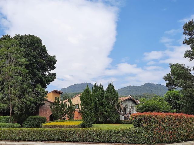 Primo Piazza  