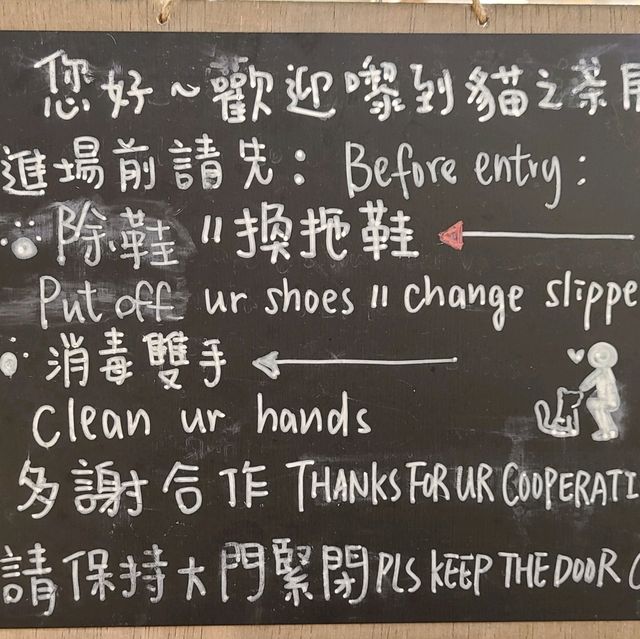 親親貓主子的上樓cafe shop 