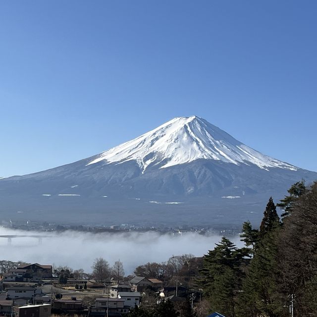 【河口湖｜住宿】性價比高! La Vista富士河口湖飯店