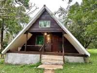 Nature Lodge ~ Senmonorom 🛖🏡🏕️
