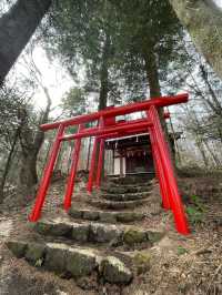 【世界遺産】富士山の麓で神秘的な世界🗻