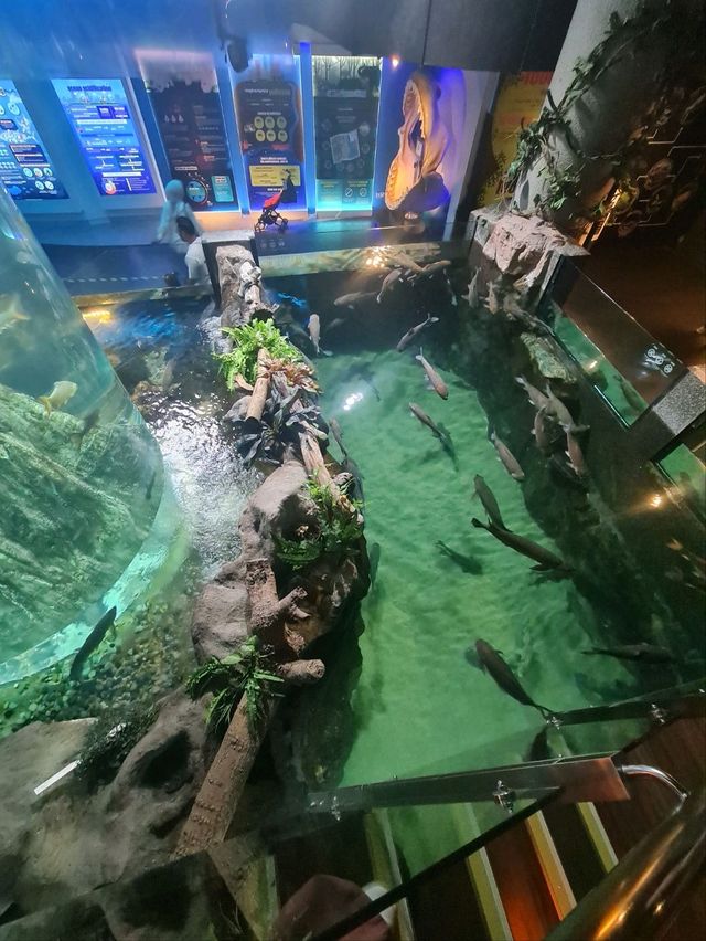 AQUARIA AT KLCC!